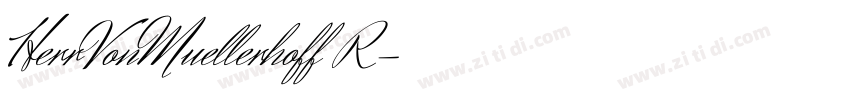 HerrVonMuellerhoff R字体转换